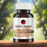 Organic Lion’s Mane Capsules